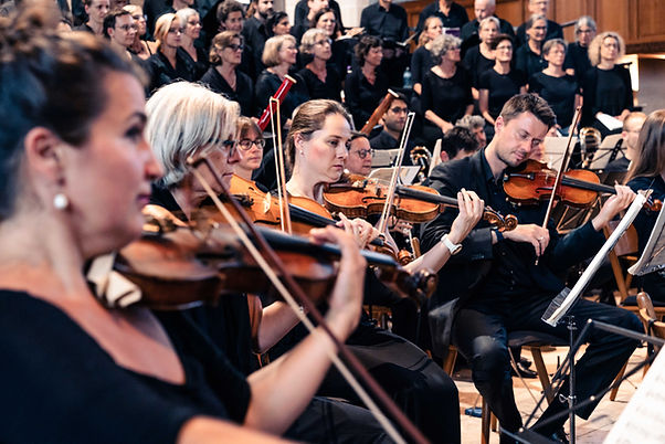Foto: Streicher Streicher der Camerata viva Tübingen